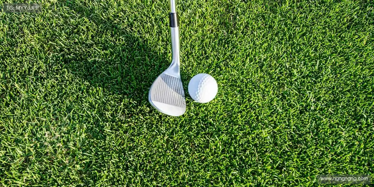 🎮 球星同款，实力加持！⚽️